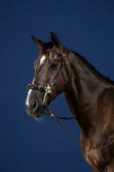 Dy'on US Jumping Collection Hackamore Bridle